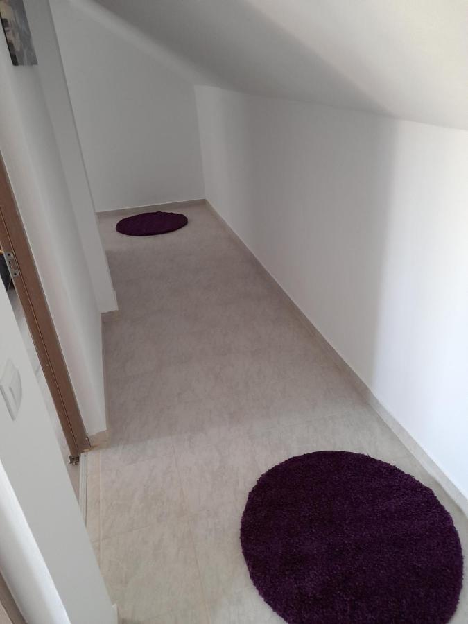 Casa Alex Hotell Cîrţişoara Eksteriør bilde