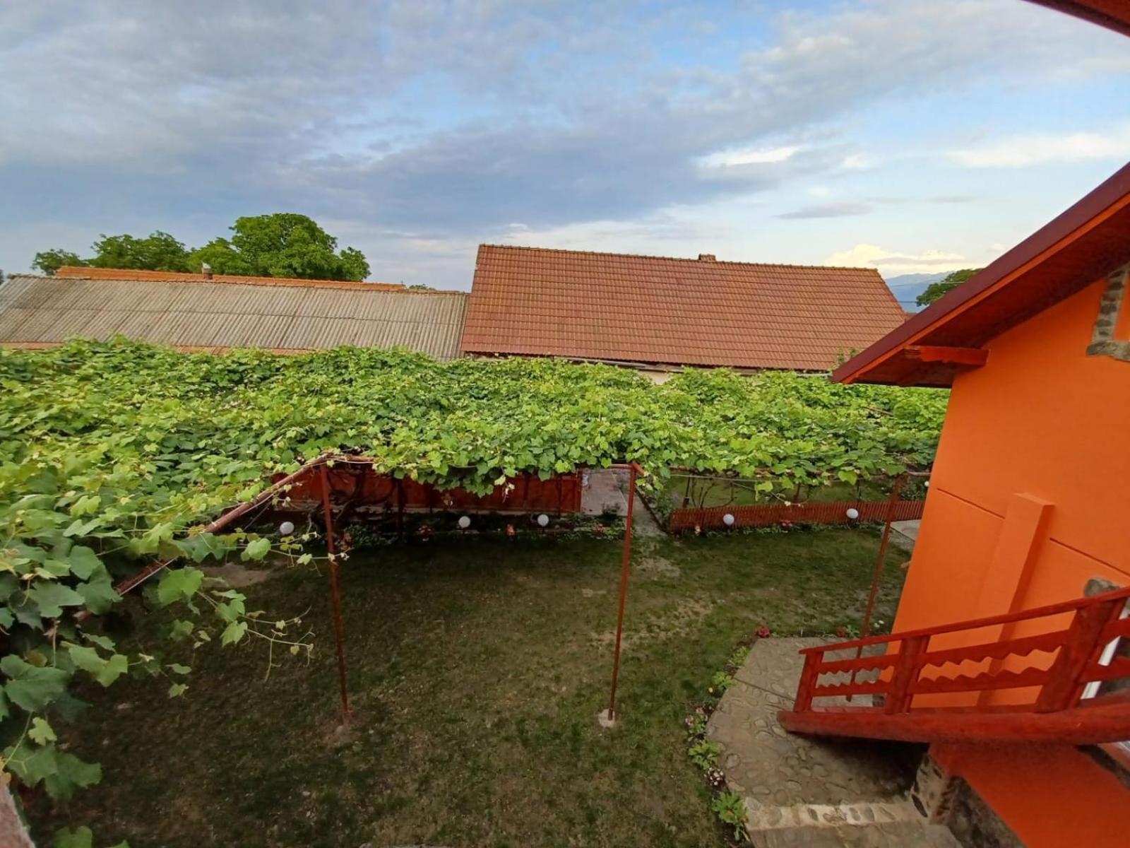 Casa Alex Hotell Cîrţişoara Eksteriør bilde